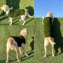 Turtleneck Sweater Winter For Small Dogs Cats