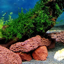 Lava Rocks for Fire Pits, Gardens, Aquariums & Plant Cultivation