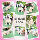 Winter Sweater For Dogs and Cats