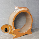 Cat Exercise Wheel for Indoor Cats