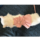 Cat Harness Dress with Bow
