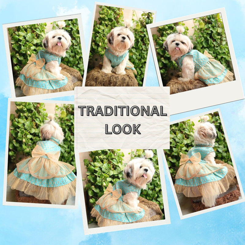 Traditional Dog Dress for Small, Medium & Large Dogs