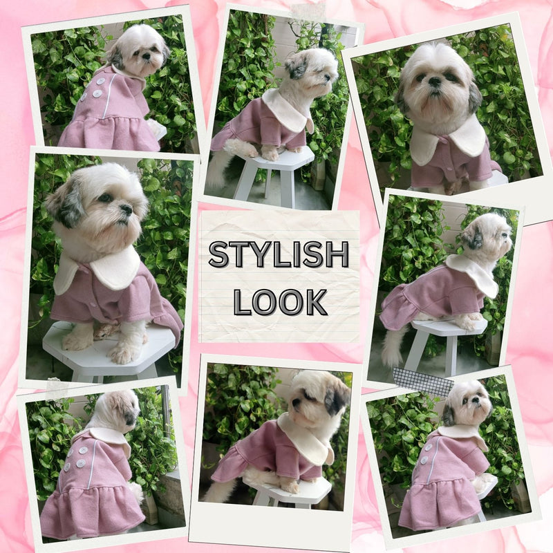 Premium Winter Dress For Dog & Cat