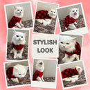 Winter Sweater For Dogs and Cats