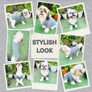 Winter Sweater For Dogs and Cats