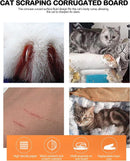 Bowl-Shaped Cat Scratcher Pad & Climbing Toy for Indoor Cats