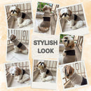 Winter Sweater For Dogs and Cats