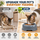 Pet Food & Water Bowls for Dogs & Cats