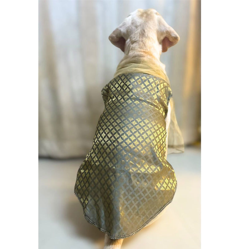 Traditional Dog Ethnic Dress – Grey
