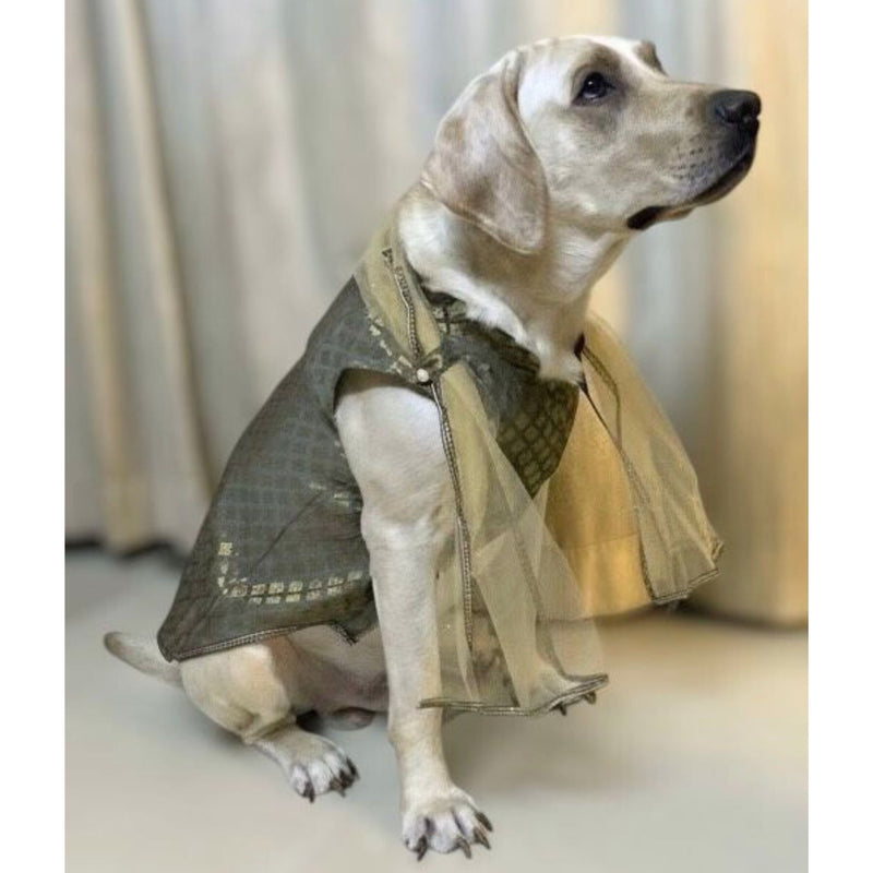 Traditional Dog Ethnic Dress – Grey