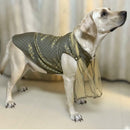 Traditional Dog Ethnic Dress – Grey