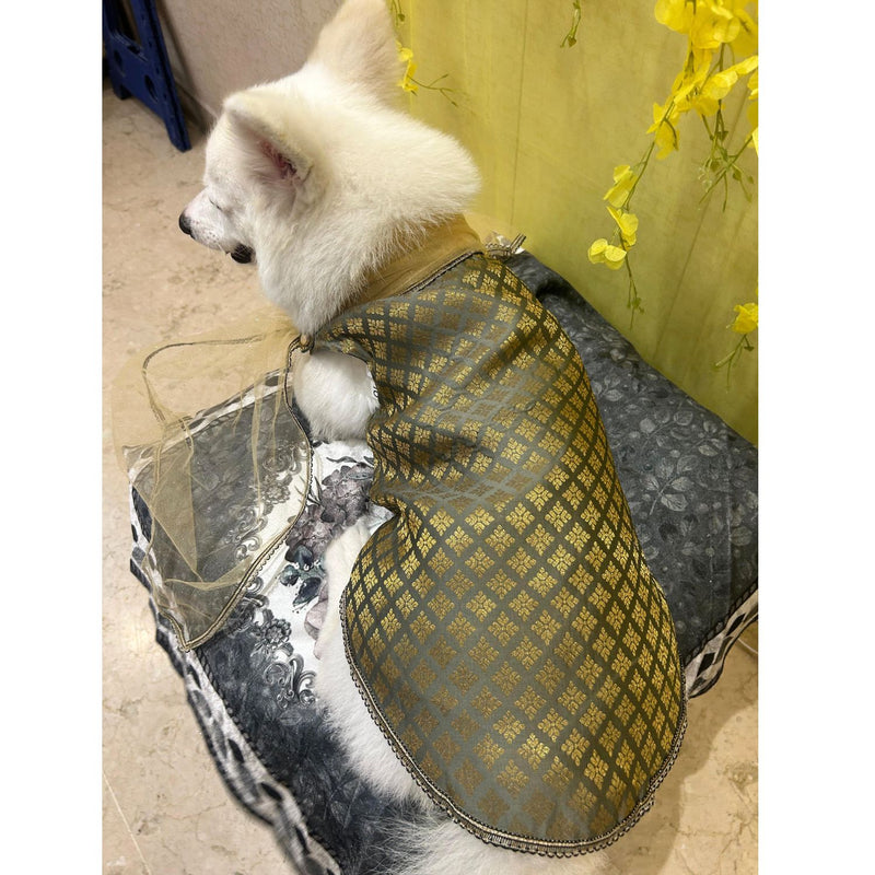 Traditional Dog Ethnic Dress – Grey