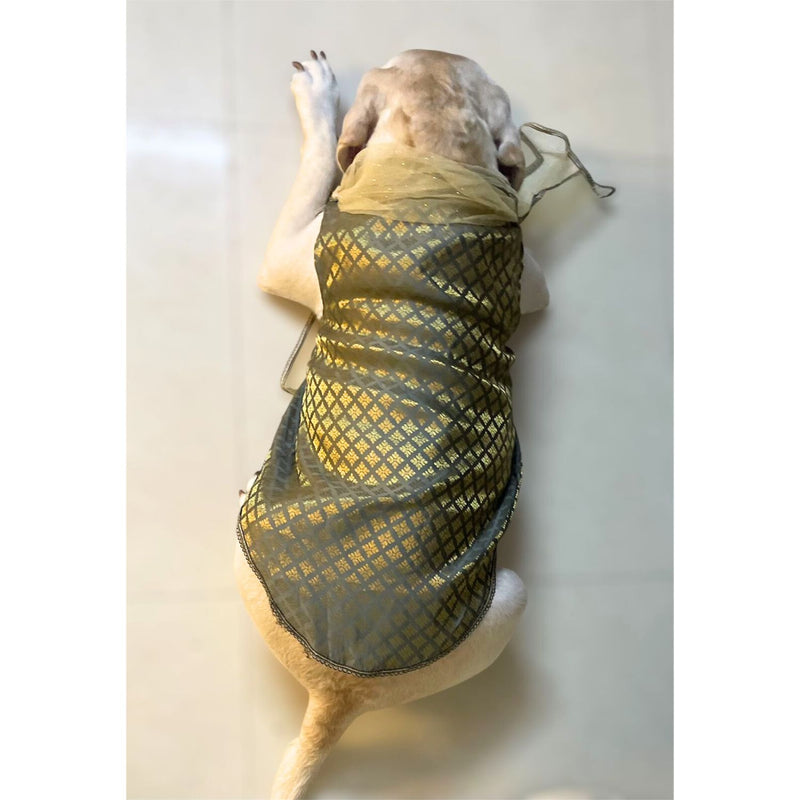 Traditional Dog Ethnic Dress – Grey