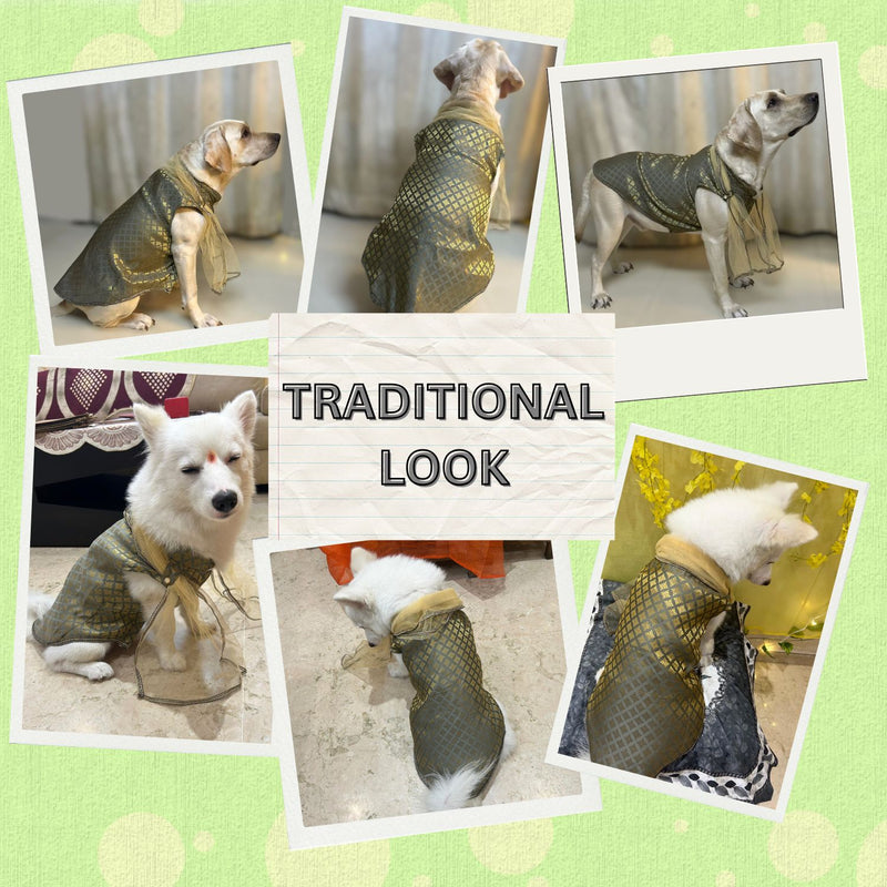 Traditional Dog Ethnic Dress – Grey