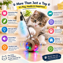 Interactive Cat Toy with Feather Wand & Rolling Ball, Fun Chase Toy for Cats & Kittens