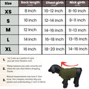 Cozy Winter Turtleneck Sweater for Dogs