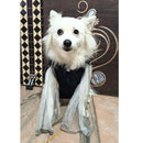 Ethnic Dog Dress for Small & Medium Breeds