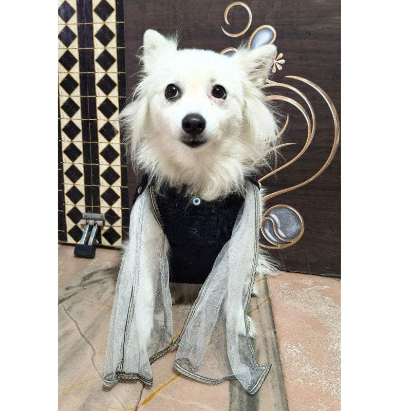 Ethnic Dog Dress for Small & Medium Breeds