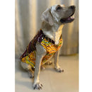 Traditional Dog Dress for Small, Medium & Large Dogs-YELLOW