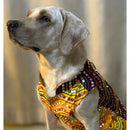 Traditional Dog Dress for Small, Medium & Large Dogs-YELLOW