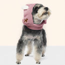 Warm Knitted Pet Ear Warmer Hat for Winter (Dogs)