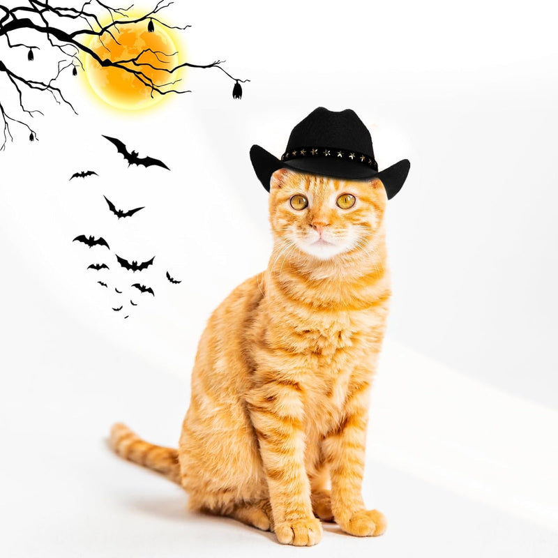 Pet Cowboy Hat for Dogs & Cats