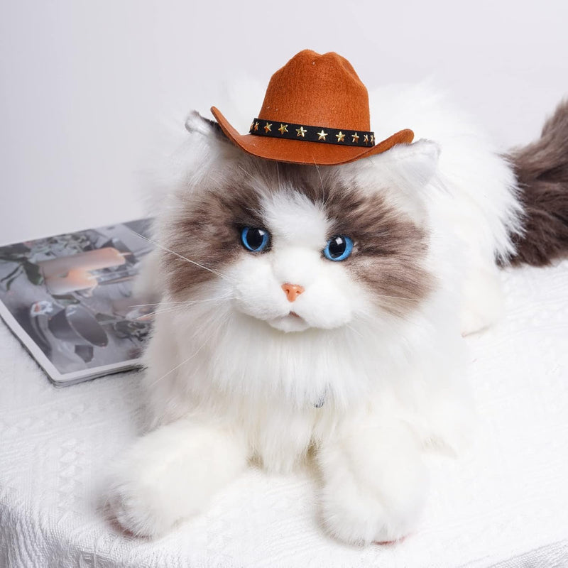 Pet Cowboy Hat for Dogs & Cats