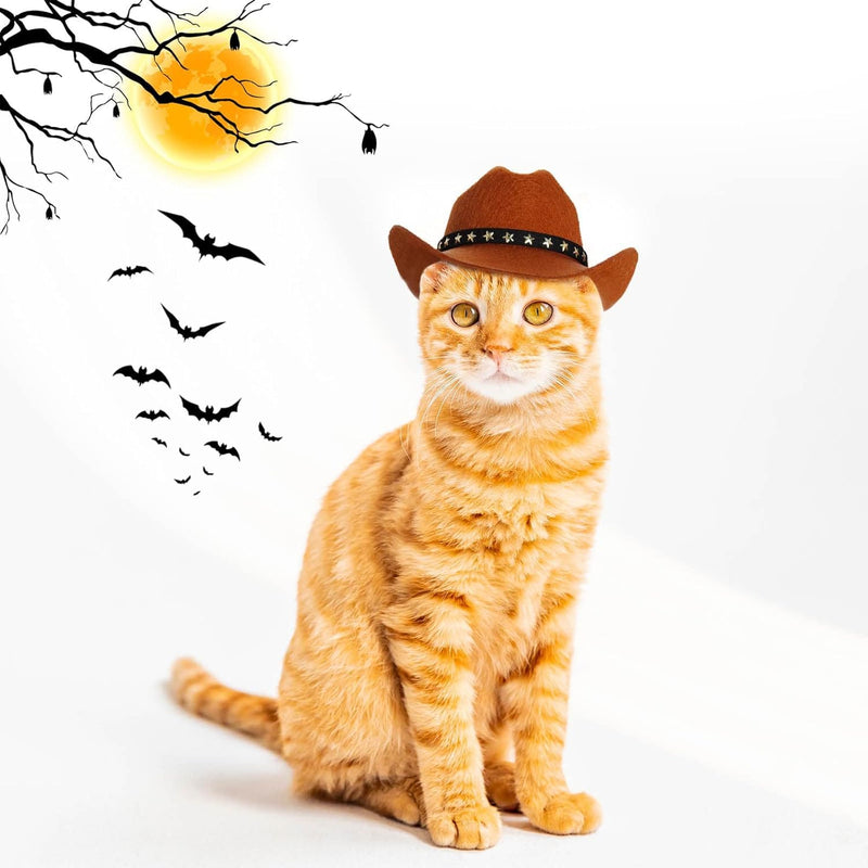 Pet Cowboy Hat for Dogs & Cats