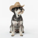Pet Cowboy Hat for Dogs & Cats