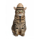 Pet Cowboy Hat for Dogs & Cats