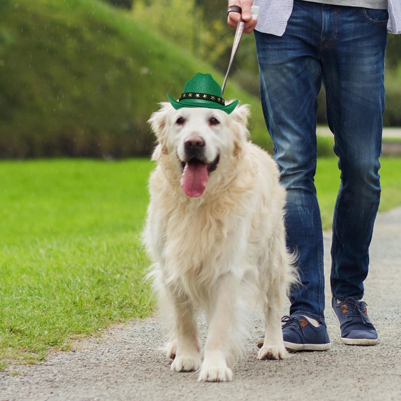 Pet Cowboy Hat for Dogs & Cats