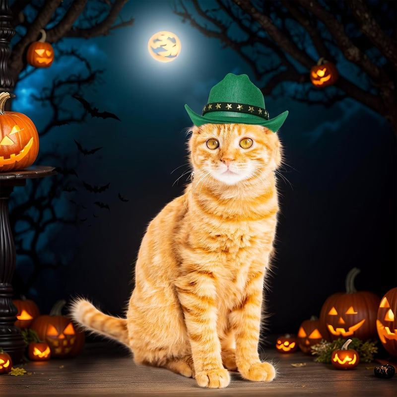 Pet Cowboy Hat for Dogs & Cats