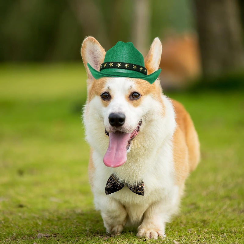 Pet Cowboy Hat for Dogs & Cats