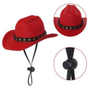 Pet Cowboy Hat for Dogs & Cats
