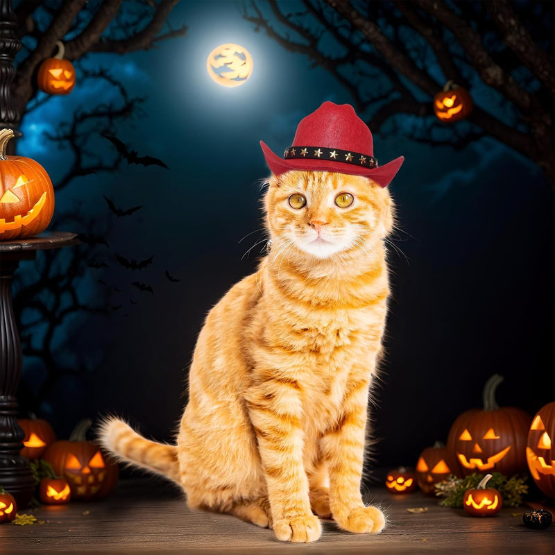 Pet Cowboy Hat for Dogs & Cats
