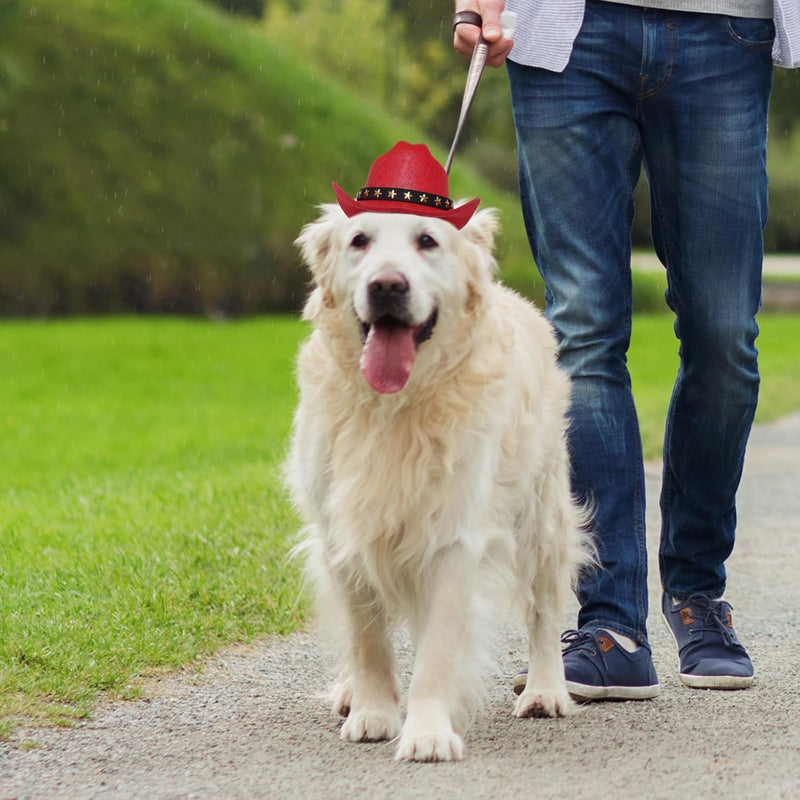 Pet Cowboy Hat for Dogs & Cats