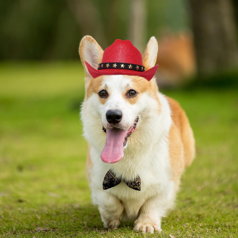 Pet Cowboy Hat for Dogs & Cats