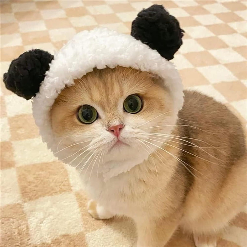 Cute Cat & Puppy Bear Hat