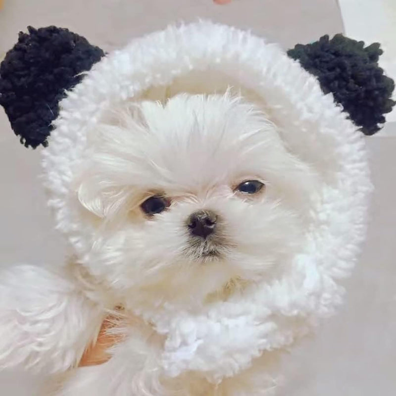 Cute Cat & Puppy Bear Hat