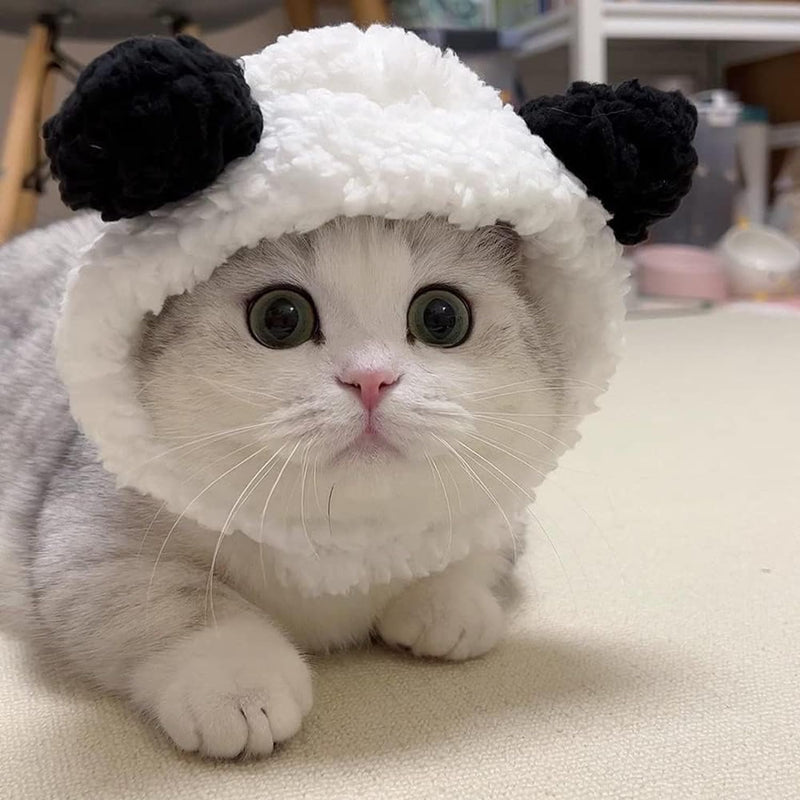 Cute Cat & Puppy Bear Hat