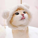 Cute Cat & Puppy Bear Hat