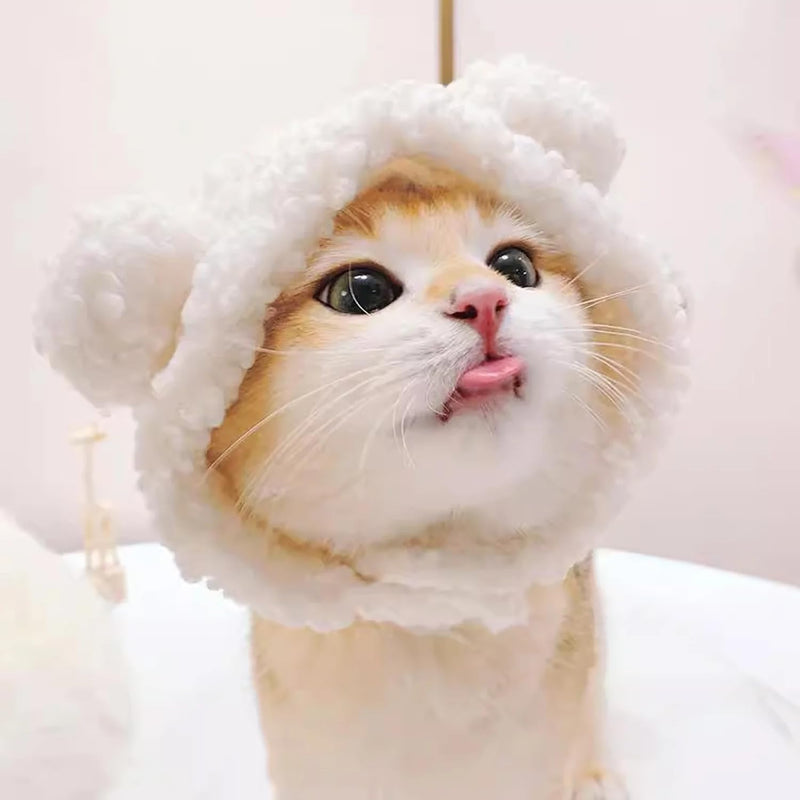Cute Cat & Puppy Bear Hat