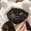 Cute Cat & Puppy Bear Hat