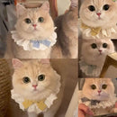 Cute Frilly Lace Pet Collar with Blue Bow
