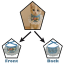 Cute Cat Collar with Adjustable Lace Ruffle