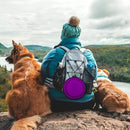 Collapsible Pet Bowl Portable Silicone Dog Bowl for Travel