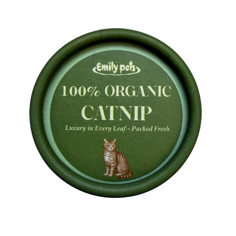 Premium Organic Catnip for Cats, Mint Fragrance
