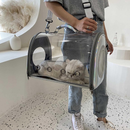 Transparent Pet Travel Carrier Tote Bag for Dogs, Cats And More
