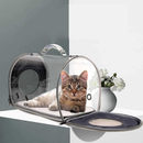 Transparent Pet Travel Carrier Tote Bag for Dogs, Cats And More