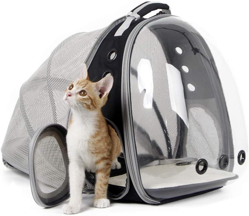 Expandable Bubble Backpack for Cats